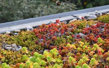 the cost of Upper Haselor green roof installation