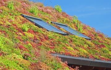 Upper Haselor living roof systems